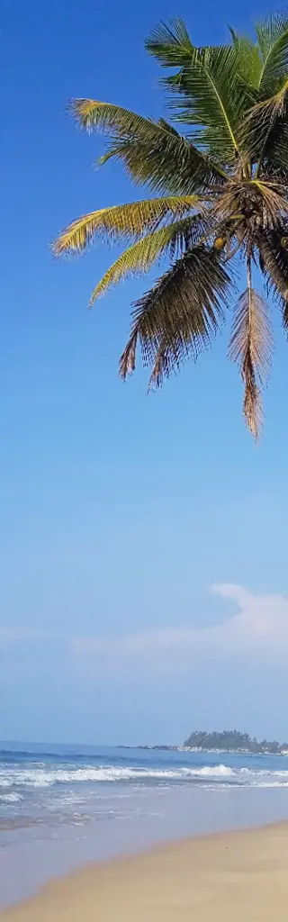 Familienreise durch Sri Lanka – drei Wochen voller Abwechslung